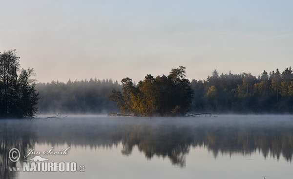 Rybnik Novy Hospodar (Rybnik Novy Hospodar)