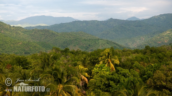 Sierra Maestra (C)