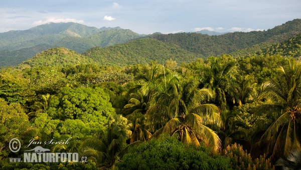 Sierra Maestra (C)