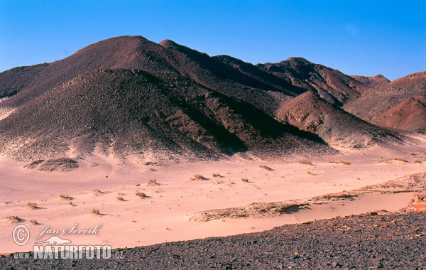 Sinai Wüste (ET)