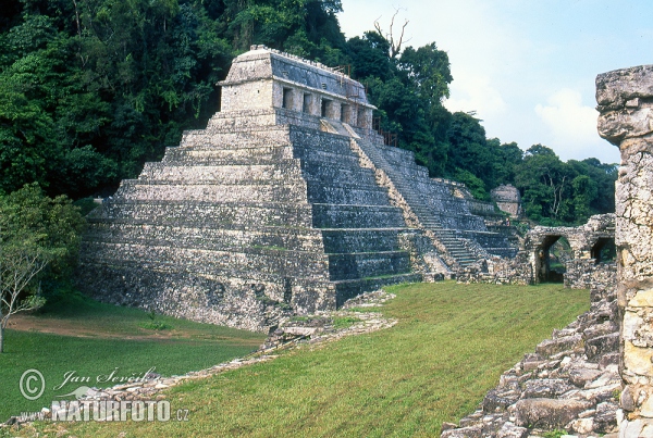 Stadt Palenque (MEX)