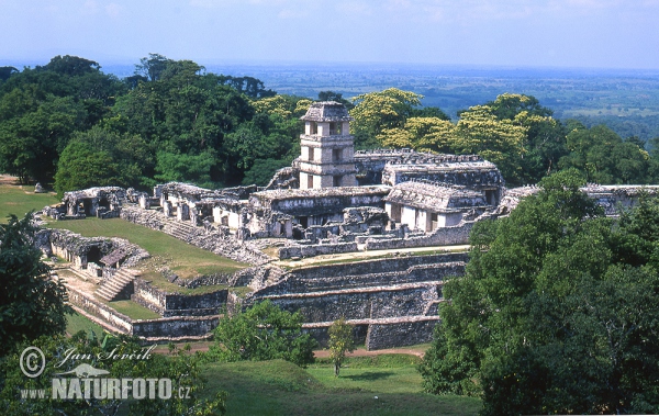 Stadt Palenque (MEX)