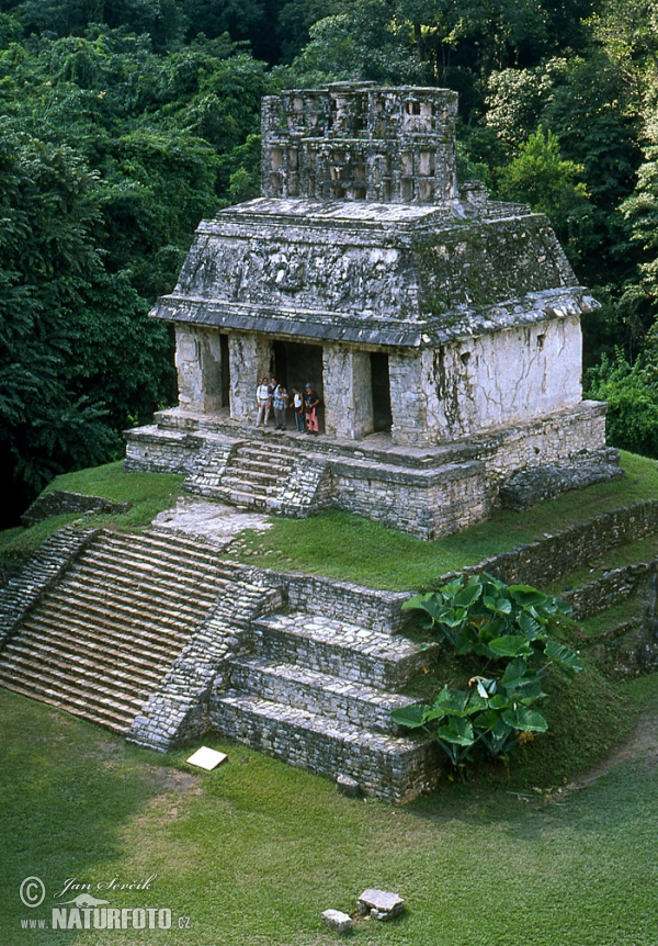 Stadt Palenque (MEX)