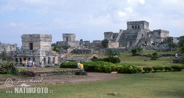 Stadt Tulum (MEX)