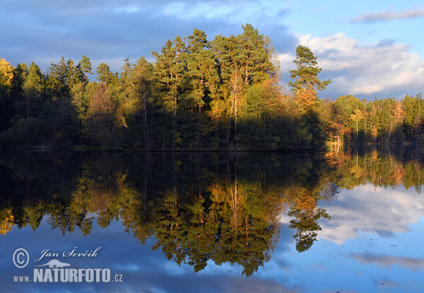 Taich Nové Jezero (Tre)