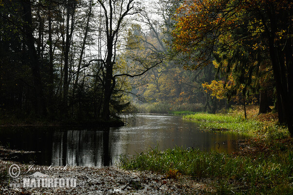 Taich Nové Jezero (Tre)