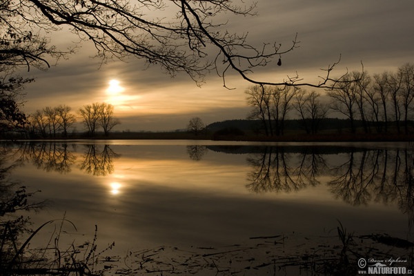 Velký Potočný Teich (Pisecko)