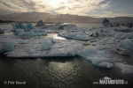 Jökulsárlón Lagune