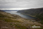 Westfjorden