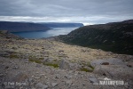 Westfjorden