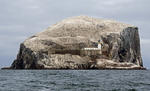 Bass Rock