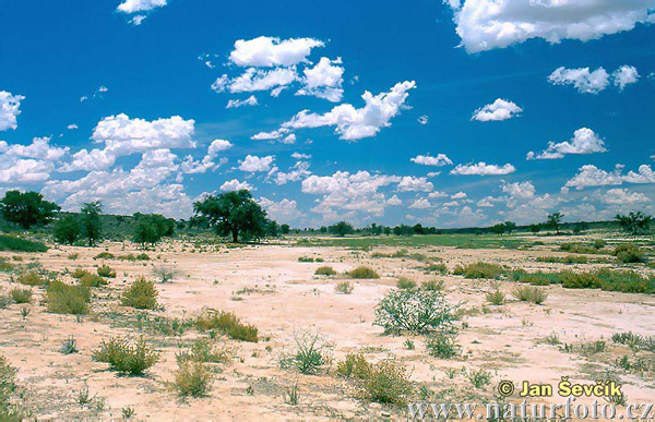 Kalahari Desert On Map Of Africa. Map located deep in large herds of africas 